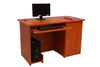 Junior Executive Office & Computer Table SWT 3